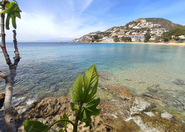 Apartament In Near Platja De *