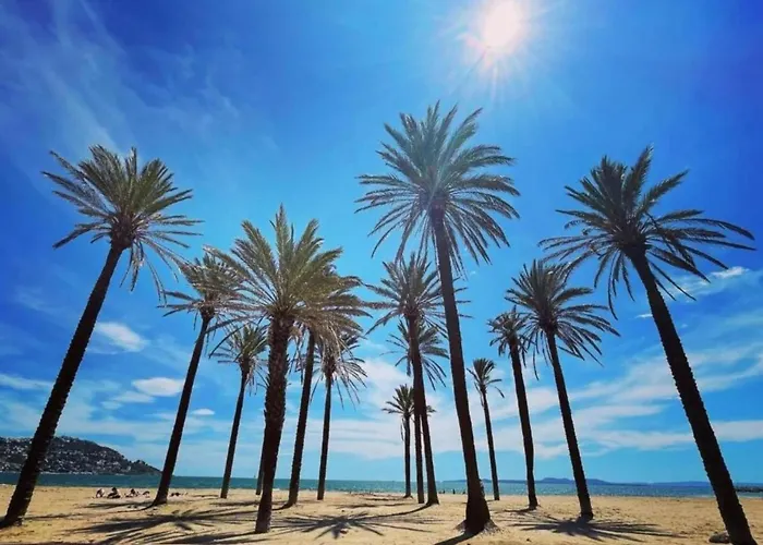 In Near Platja De